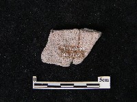 陶片藏品圖，第2張