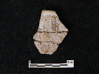 陶片藏品圖，第2張