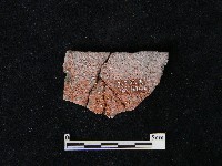 陶片藏品圖，第1張