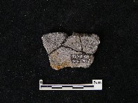 陶片藏品圖，第2張