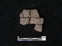 陶片藏品圖，第2張