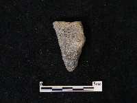 陶片藏品圖，第2張