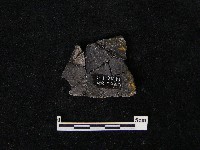 陶片藏品圖，第1張