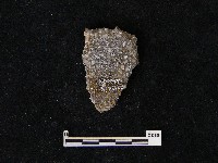 陶片藏品圖，第2張