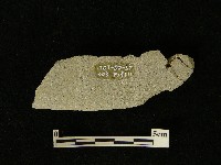 磨製石器藏品圖，第1張