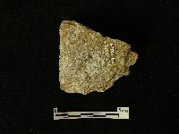 磨製斧鋤形器藏品圖，第2張