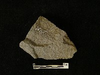 石片器藏品圖，第2張