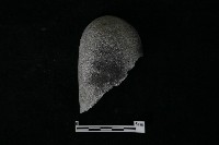 石材藏品圖，第1張