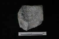 石核藏品圖，第1張