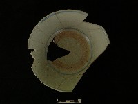 瓷碗藏品圖，第4張