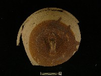 蓋藏品圖，第1張