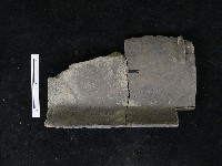 瓦片藏品圖，第4張