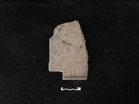 瓦片藏品圖，第2張