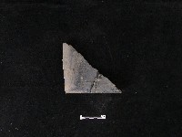 瓦片藏品圖，第1張