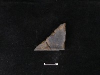瓦片藏品圖，第2張
