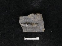 瓦片藏品圖，第2張