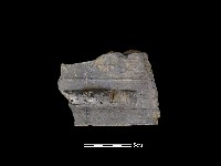 瓦片藏品圖，第3張