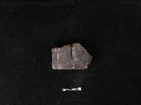 瓦片藏品圖，第2張