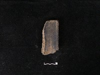 瓦片藏品圖，第1張