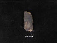 瓦片藏品圖，第2張