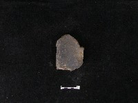 瓦片藏品圖，第2張