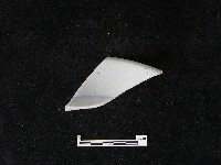 瓷碗藏品圖，第4張