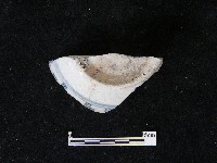 瓷碗藏品圖，第6張