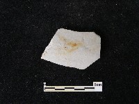 瓷片藏品圖，第2張