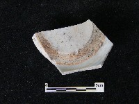 瓷碗藏品圖，第4張