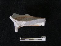 瓷碗藏品圖，第5張