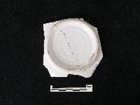 瓷盤藏品圖，第2張