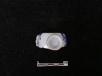 瓷杯藏品圖，第2張
