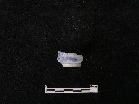 瓷杯藏品圖，第3張