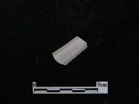 湯匙藏品圖，第2張