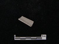 湯匙藏品圖，第3張