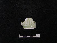 瓷杯藏品圖，第3張