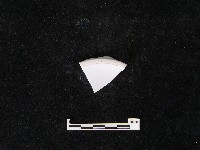 瓷片藏品圖，第2張