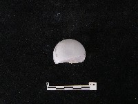 電線絕緣體藏品圖，第1張