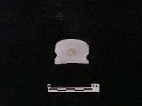 電線絕緣體藏品圖，第2張