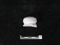 電線絕緣體藏品圖，第3張