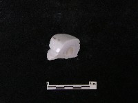 電線絕緣體藏品圖，第4張