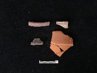 陶片藏品圖，第2張