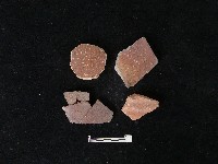 陶片藏品圖，第2張