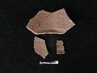 陶片藏品圖，第1張