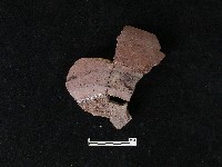 陶片藏品圖，第2張