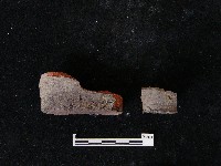 陶片藏品圖，第3張