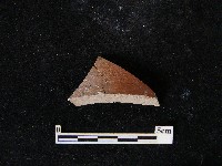 陶片藏品圖，第2張