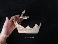 陶壺藏品圖，第2張