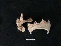 陶壺藏品圖，第1張