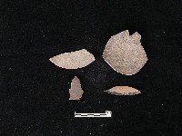 陶蓋藏品圖，第1張